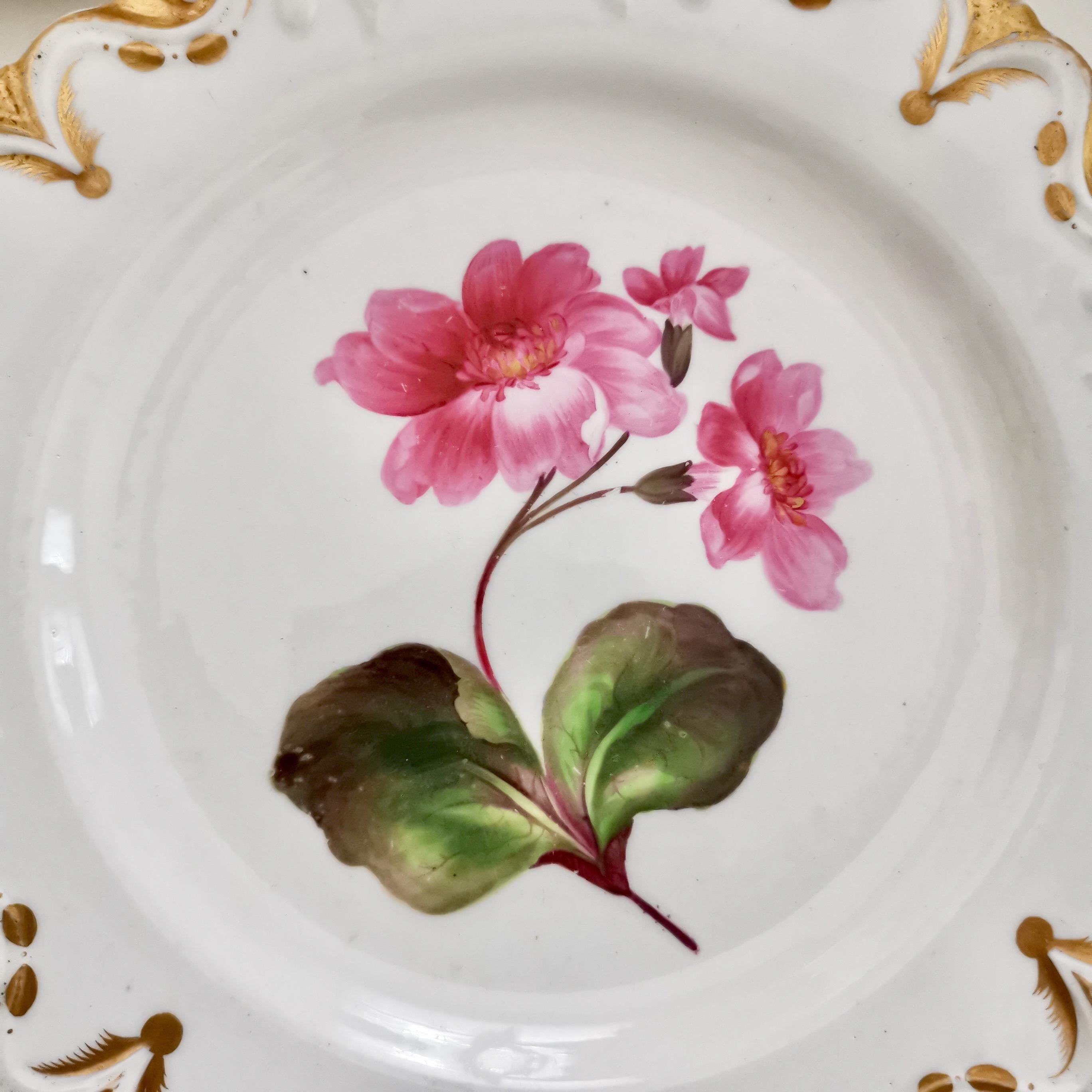 English Machin Porcelain Plate, White, Moustache Shape with Pink Flower, Regency