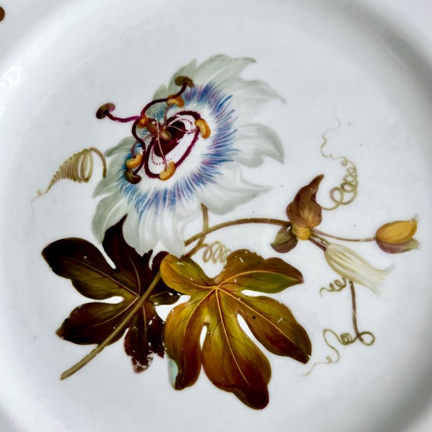Machin-Set aus 6 Tellern, Moustache-Form, Weiß mit Blumen, ca. 1825 6