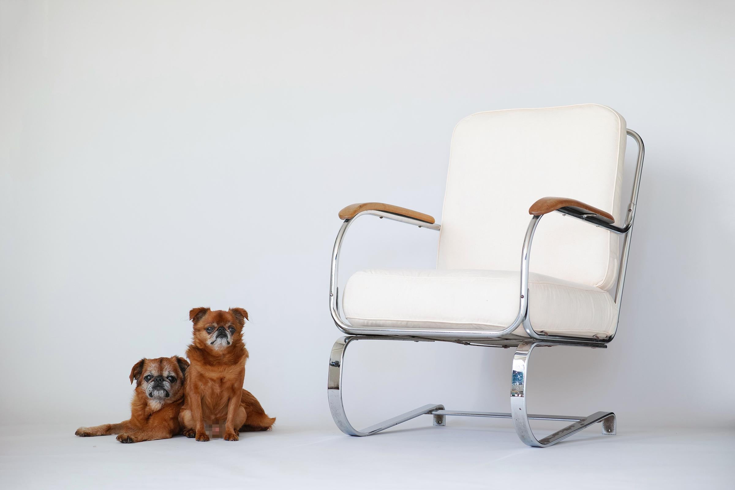 For your consideration is KEM Weber’s iconic machine age springer chair with ivory canvas upholstery and original chrome finish. The chair is notably comfortable and sturdy with a nice springy, rocker-like bounce.