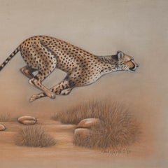 Cheetah