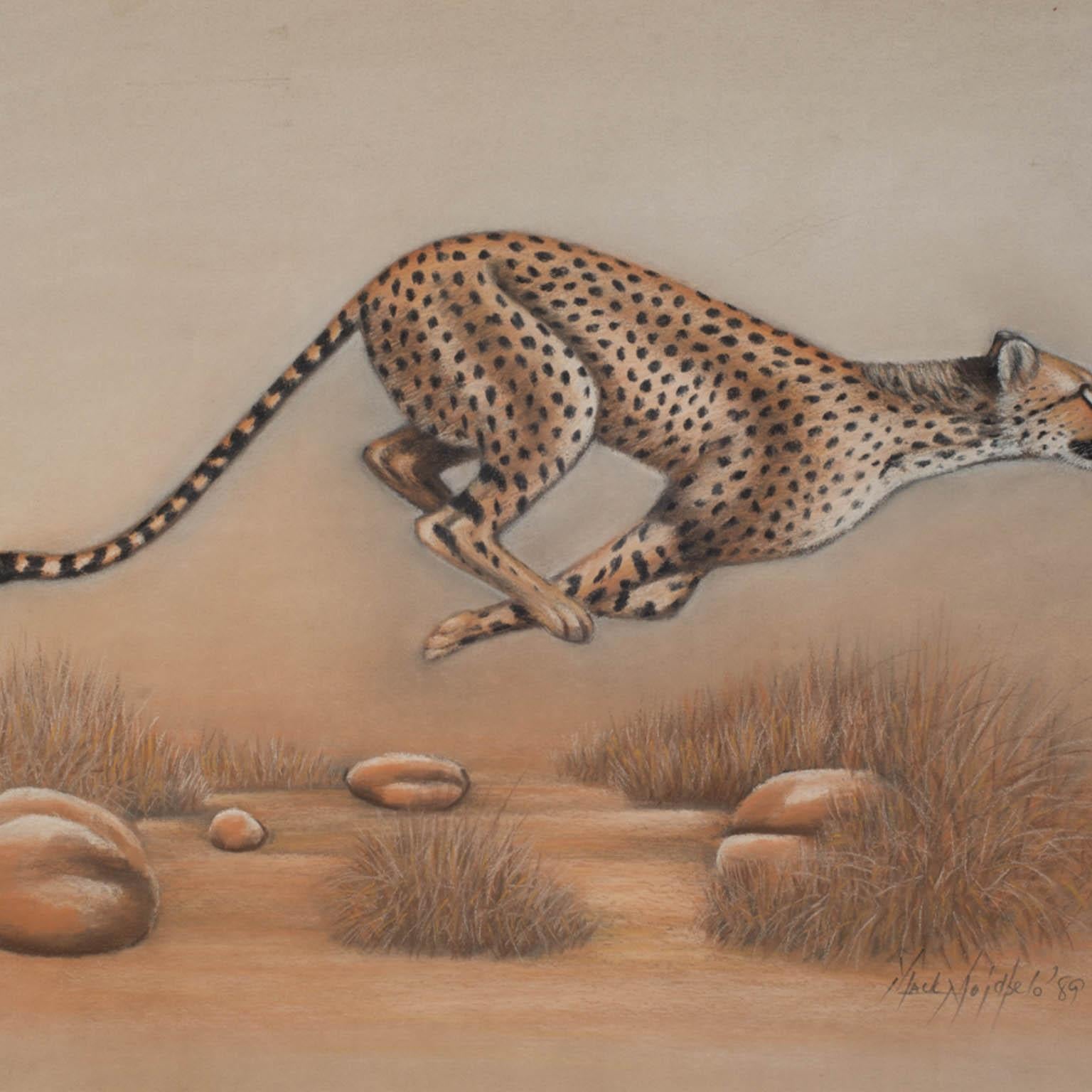 cheetah art