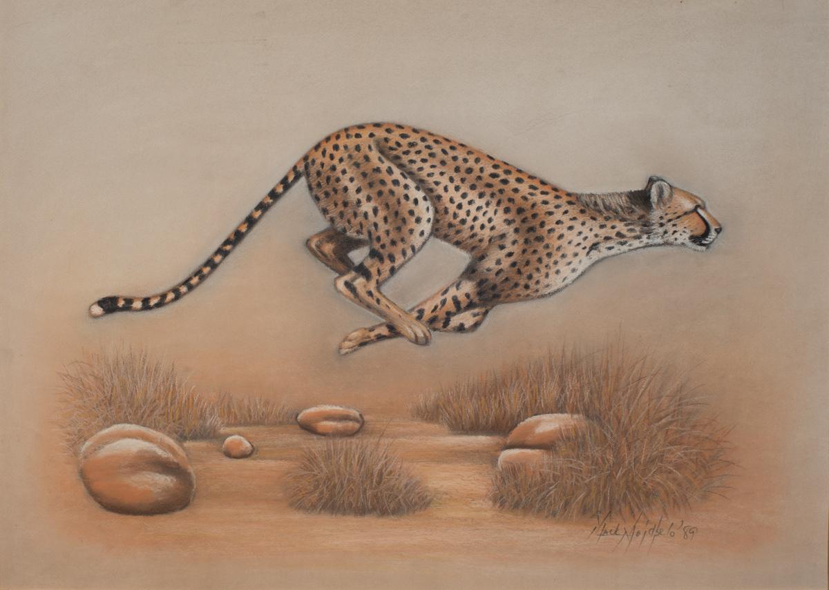 Cheetah  - Painting by Mack Mojapelo