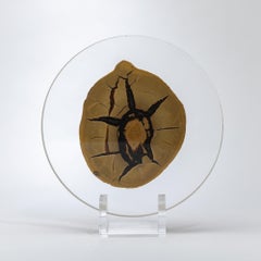 Madagascar Septarian Calcite half nodule mounted on a custom acrylic base