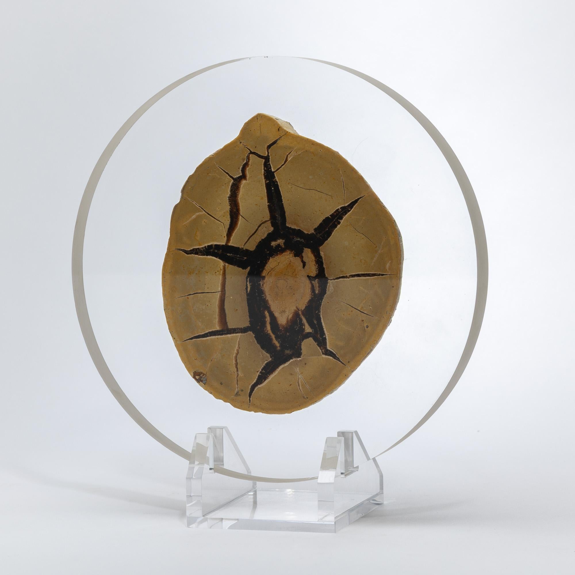 Organic Modern Madagascar Septarian Calcite half nodule mounted on a custom acrylic base For Sale