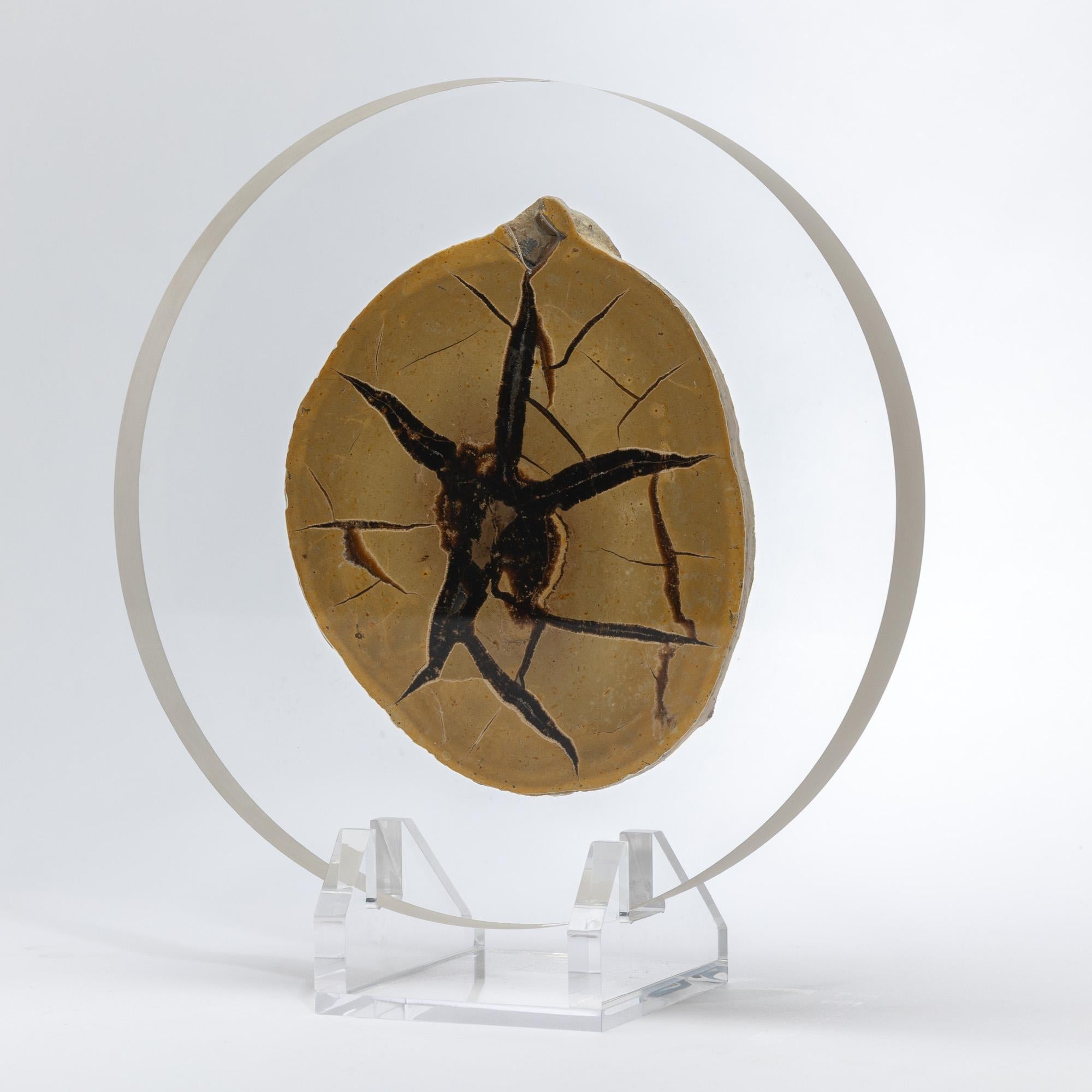 Organic Modern Madagascar Septarian Calcite half nodule mounted on a custom acrylic base For Sale