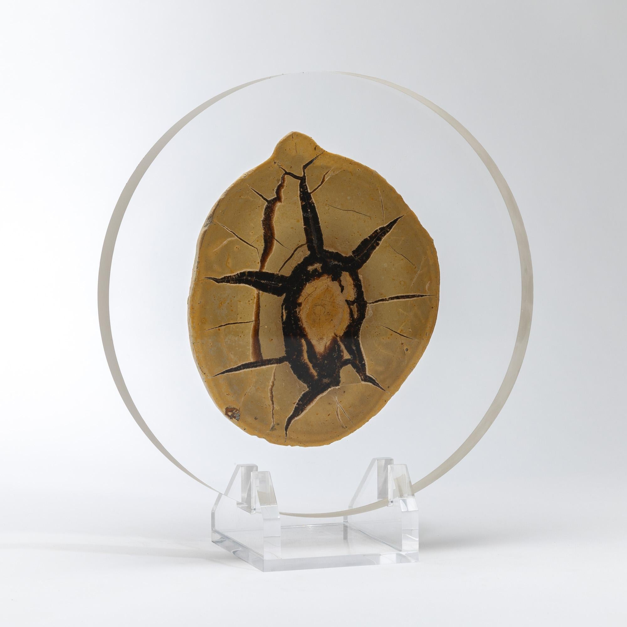 Mexican Madagascar Septarian Calcite half nodule mounted on a custom acrylic base For Sale