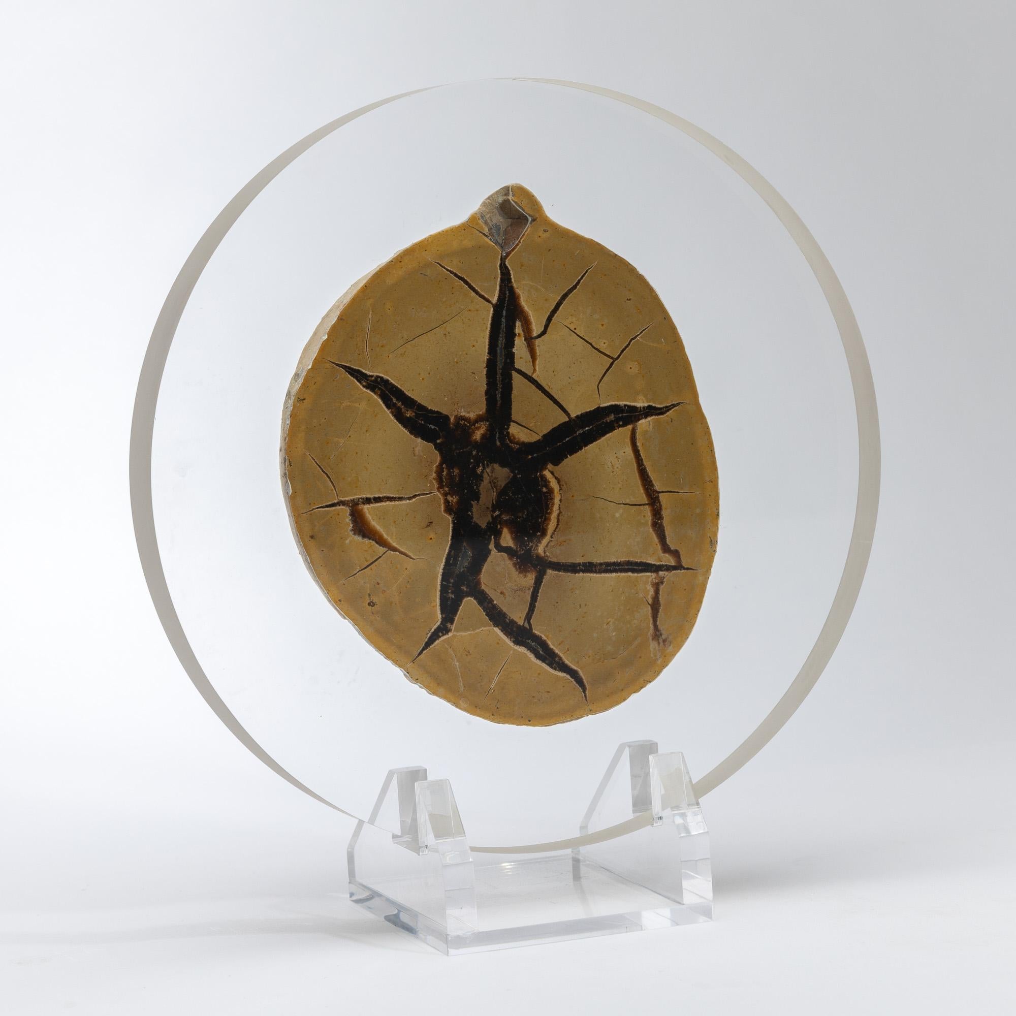 Mexican Madagascar Septarian Calcite half nodule mounted on a custom acrylic base For Sale