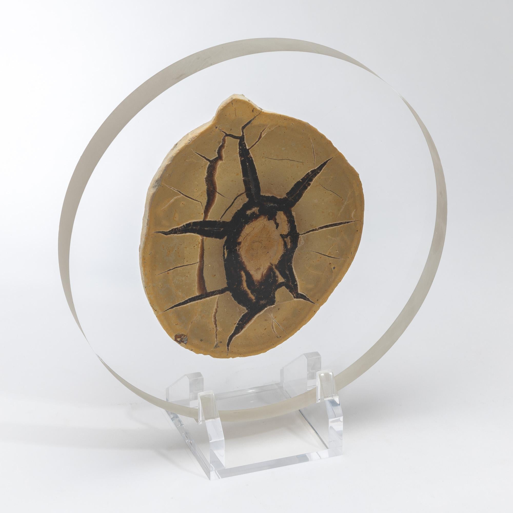 Contemporary Madagascar Septarian Calcite half nodule mounted on a custom acrylic base For Sale