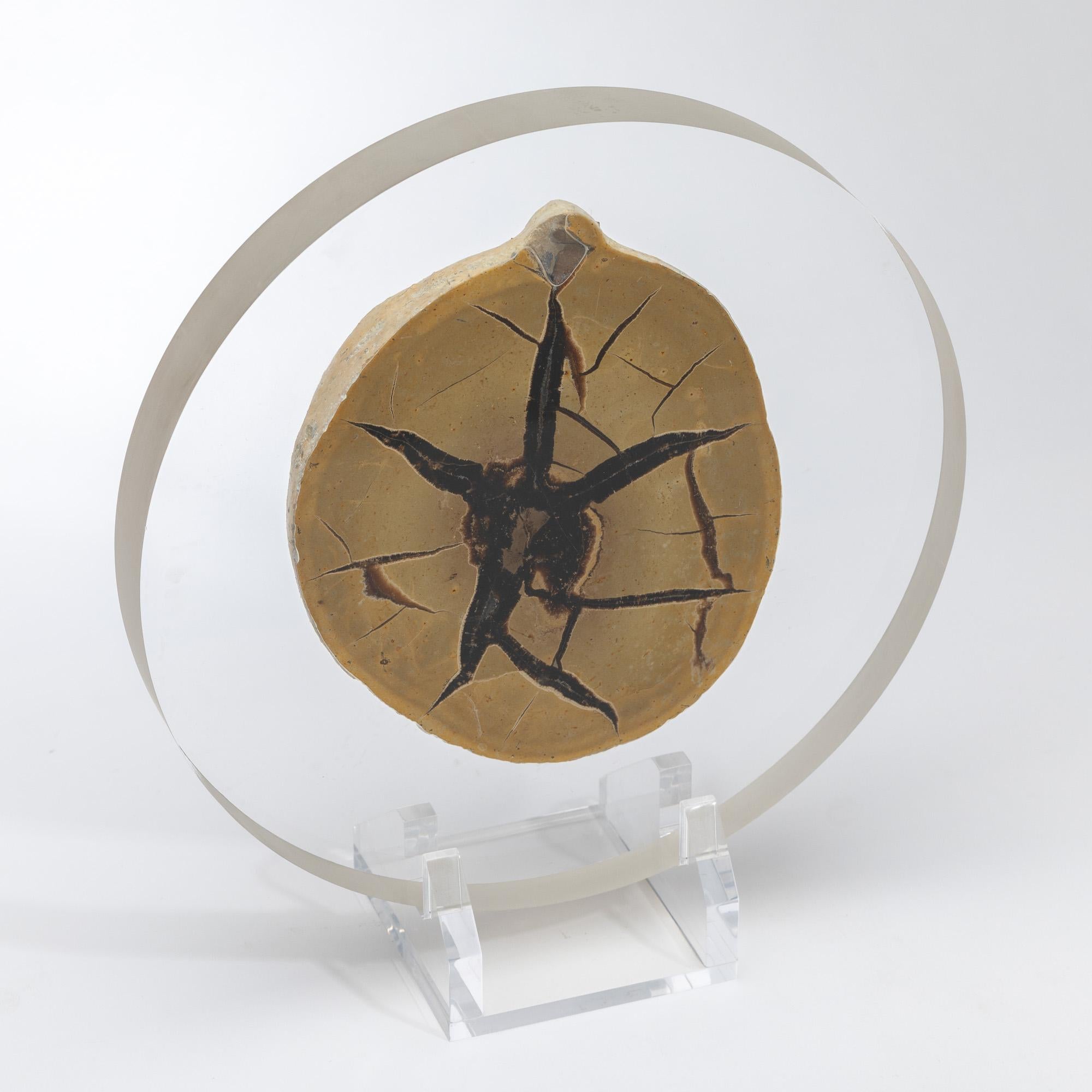 Contemporary Madagascar Septarian Calcite half nodule mounted on a custom acrylic base For Sale