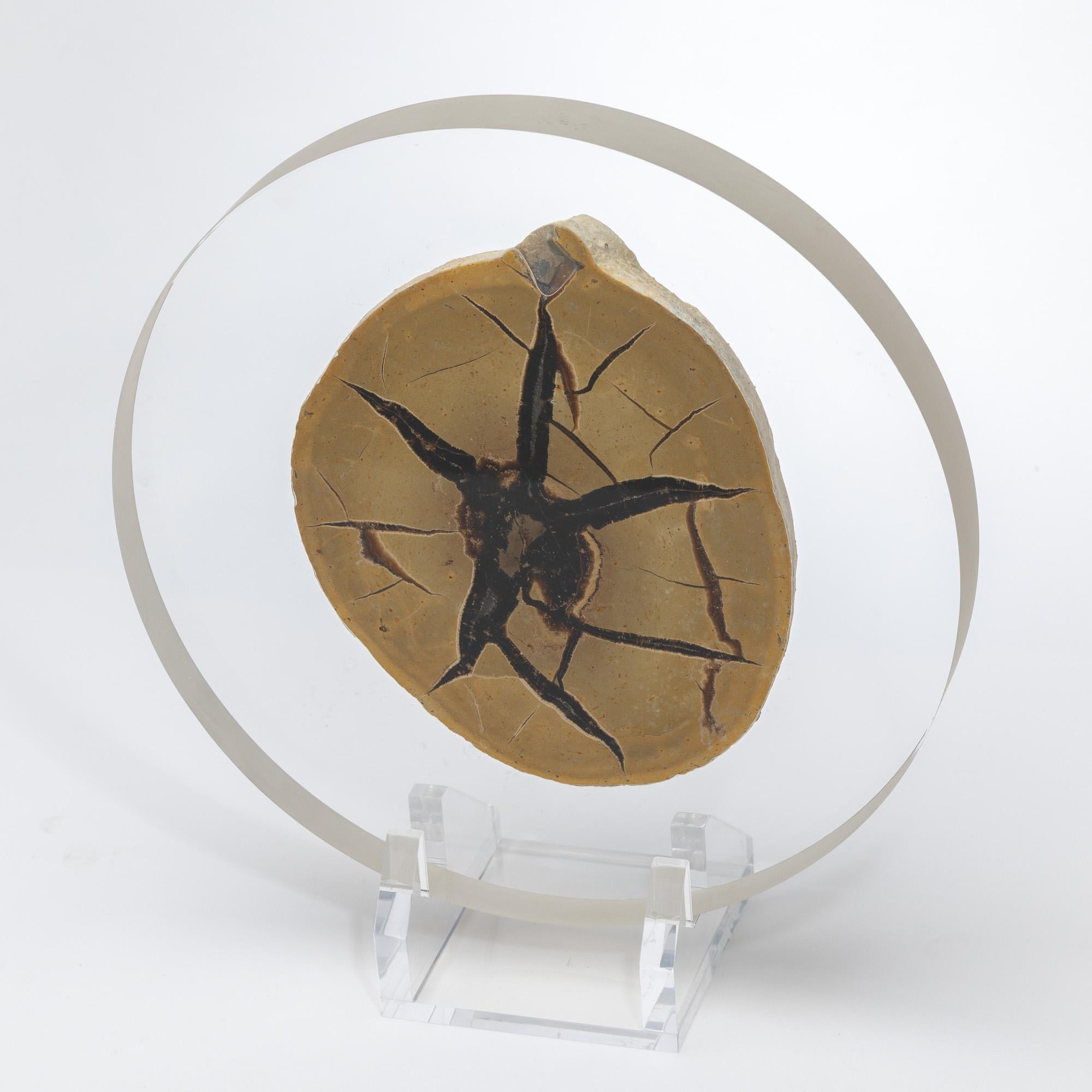 Other Madagascar Septarian Calcite half nodule mounted on a custom acrylic base For Sale