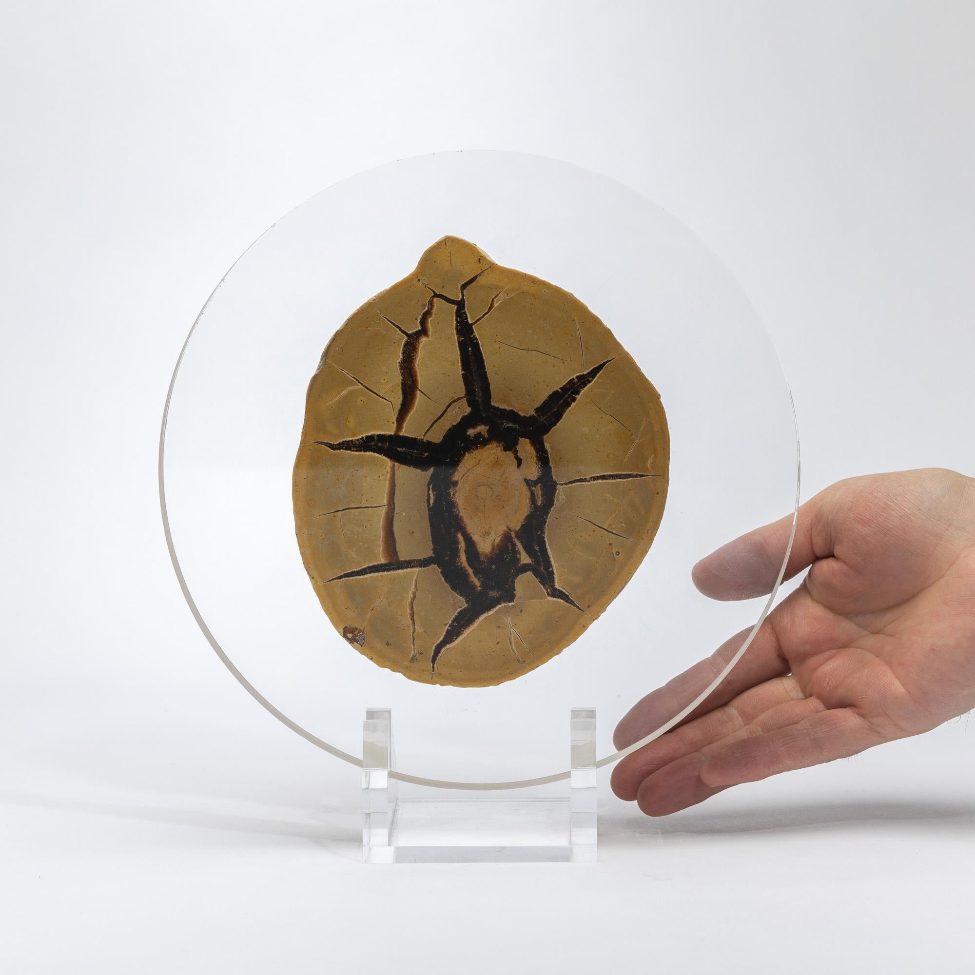 Madagascar Septarian Calcite half nodule mounted on a custom acrylic base For Sale 1