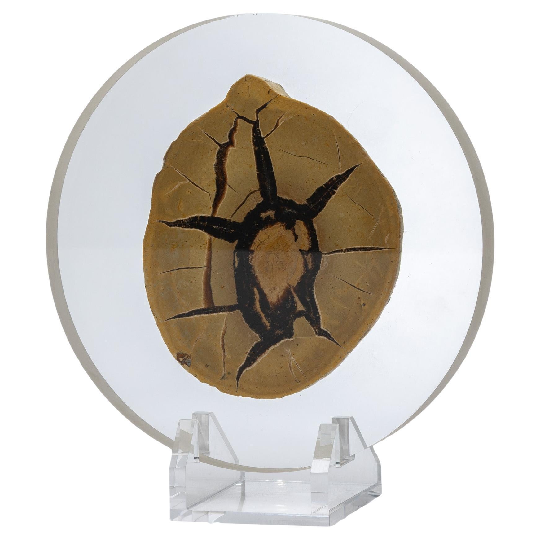 Madagascar Septarian Calcite half nodule mounted on a custom acrylic base
