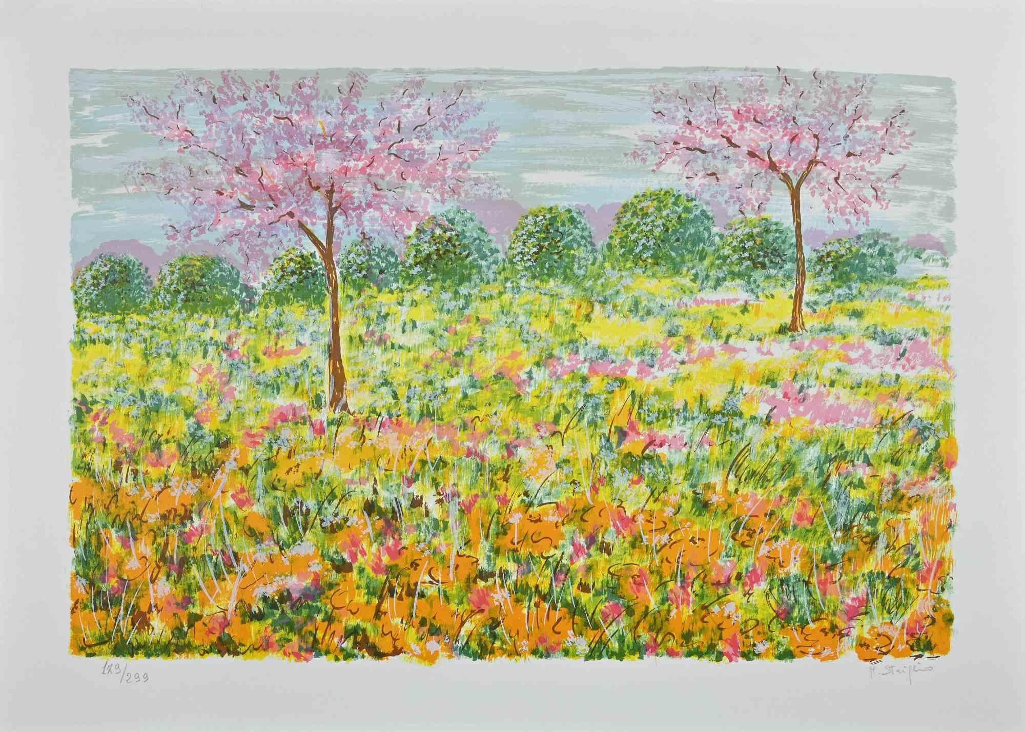 Spring is a very brightly colored serigraph realized by the contemporary Italian artist  Maddalena Striglio in the late 20th Century.

Hand-signed in pencil on the lower right.  Numbered on the lower left. Edition 179/299.

Good