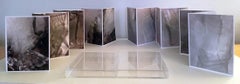 "Frozen Eiffel", Artist Books of Photographs in a Plexiglass Box