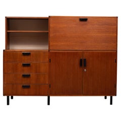 Maßgeschneiderter Schrank von Cees Braakman für Pastoe, 1960er Jahre