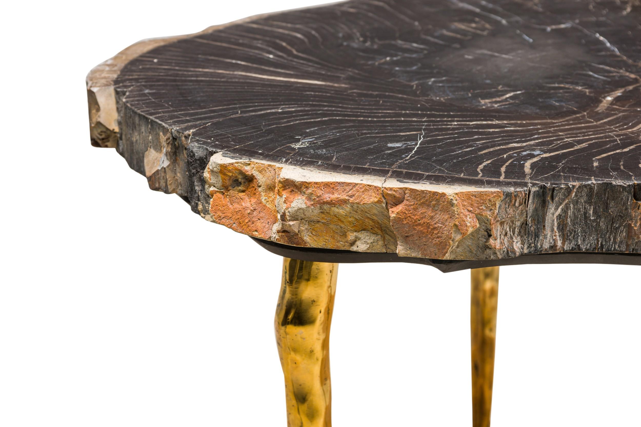 Madeira Petrified Wood Coffee Table by Newel Modern For Sale 7
