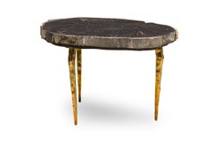 Madeira Coffee Table with Petrified Wood Top and Metal Frame