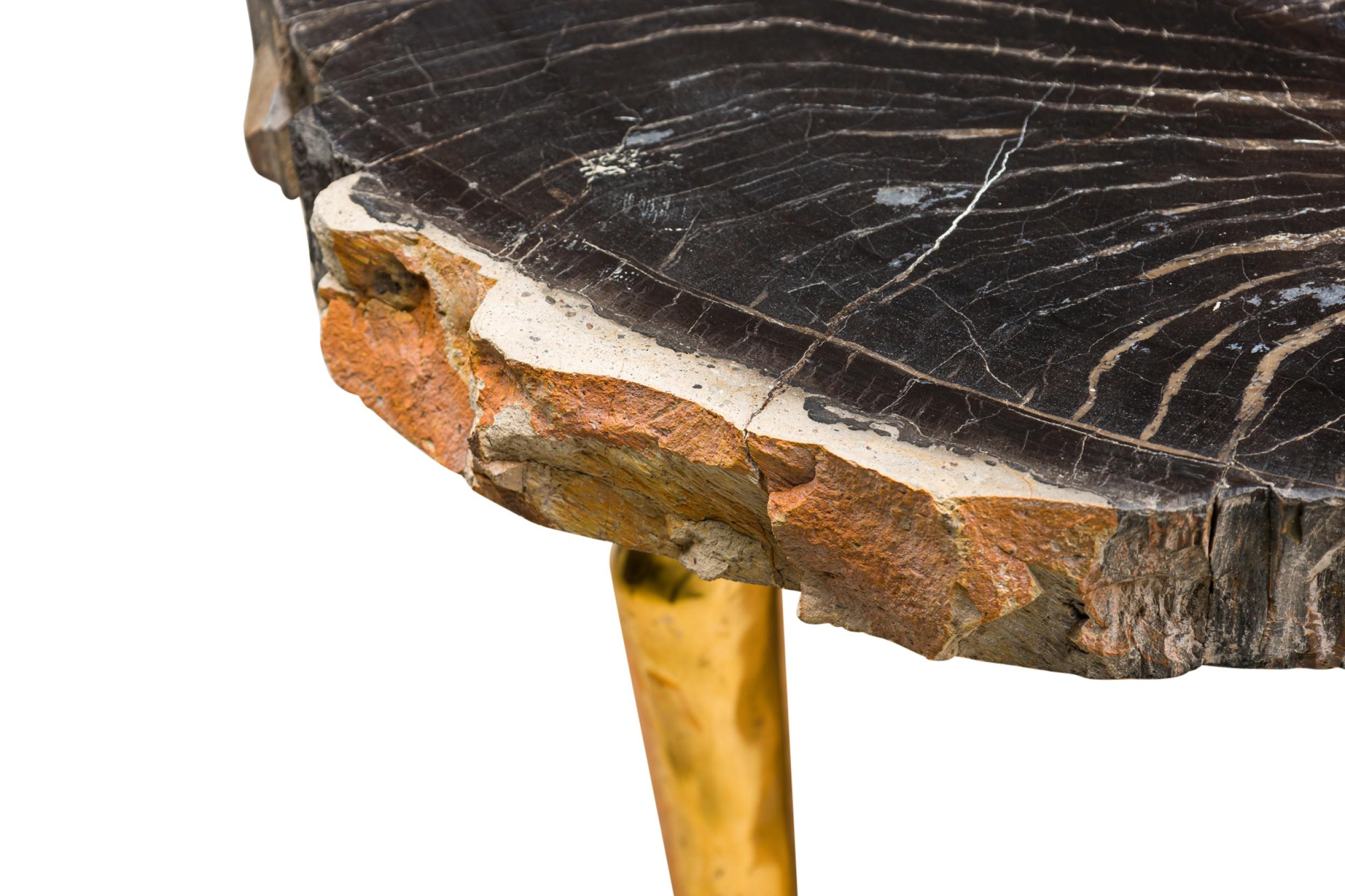 Madeira Petrified Wood Coffee Table by Newel Modern For Sale 3