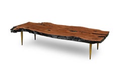 "Madeira" Rectangular Live Edge Petrified Wood and Polished Bronze Coffee Table