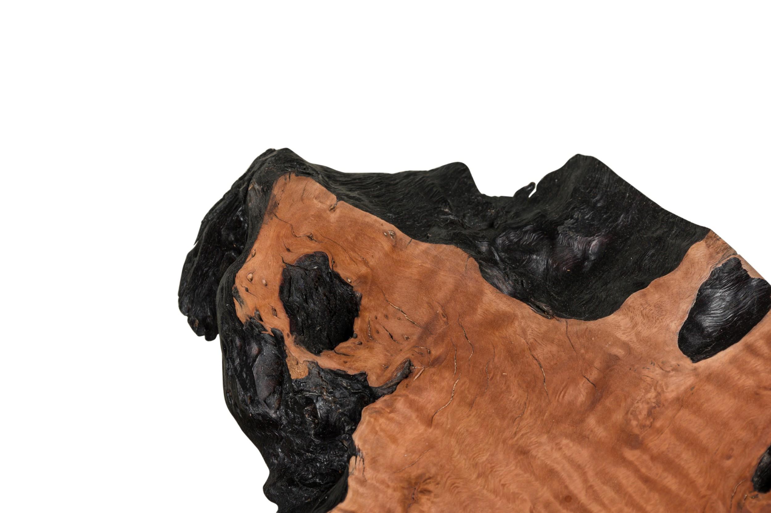 Table basse rectangulaire « Madeira » en bois pétrifié à bord vif et bronze poli en vente 2