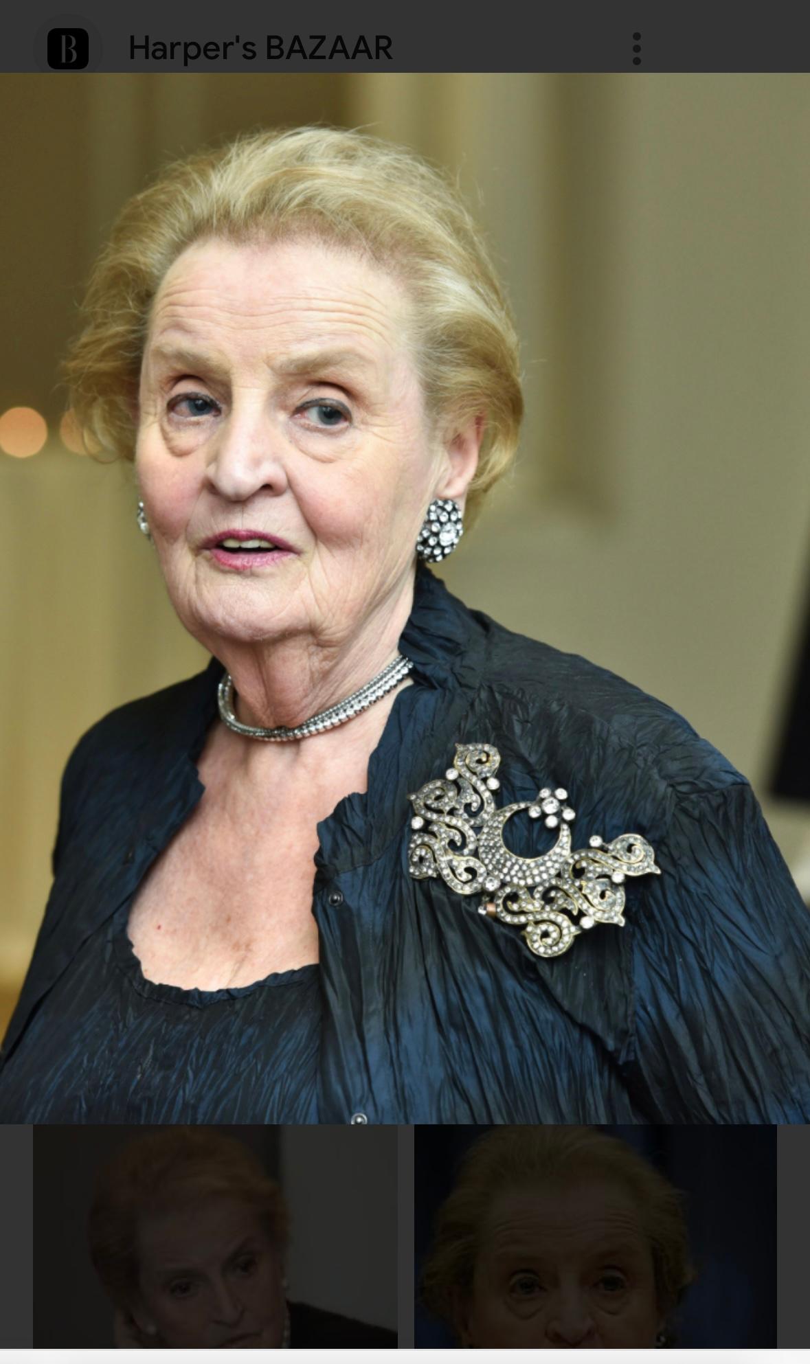 Pendientes Broche Serpiente En Rama De Madeleine Albright Y Libro Lee Mis Alfileres en venta 10