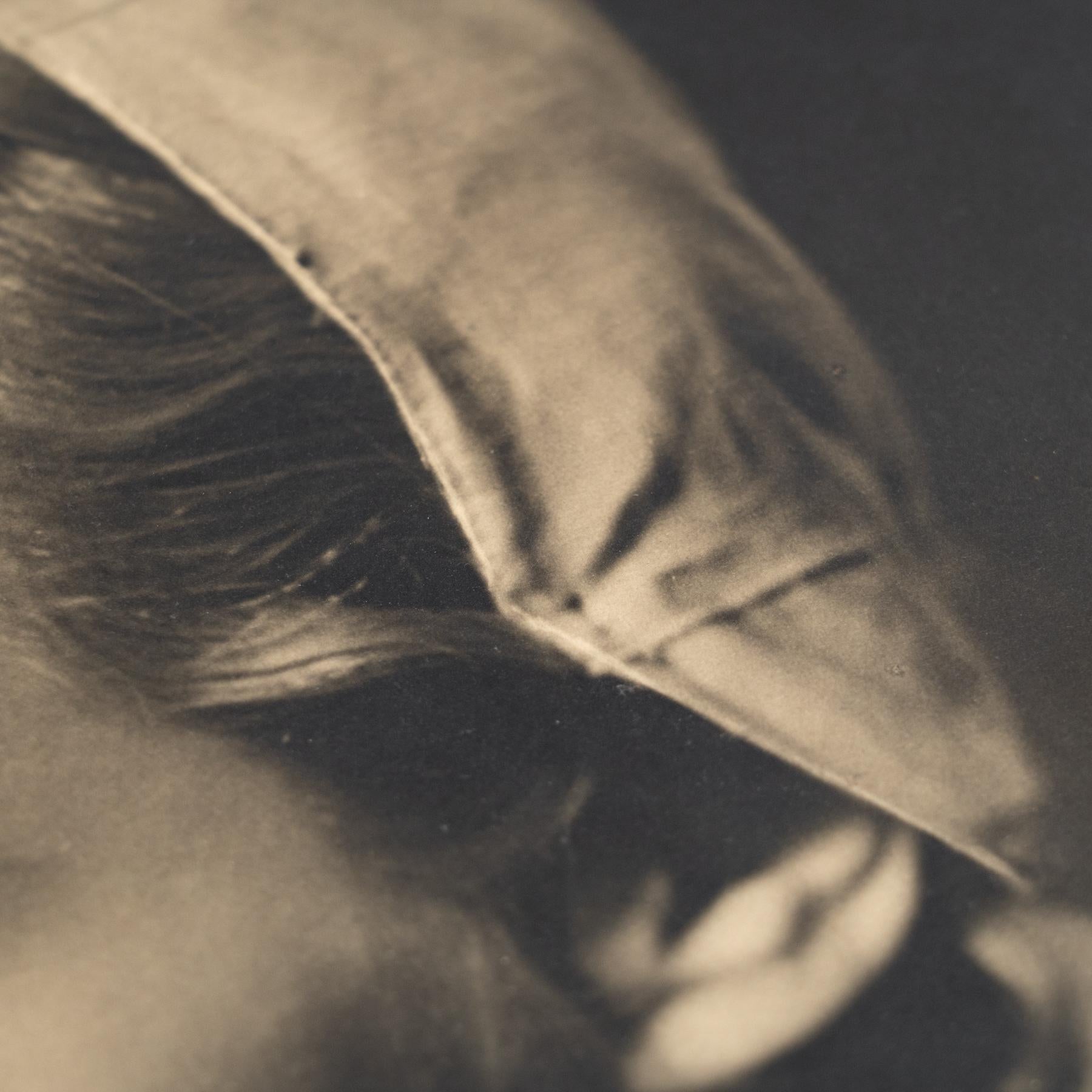 Madeleine Carroll dans le thriller 