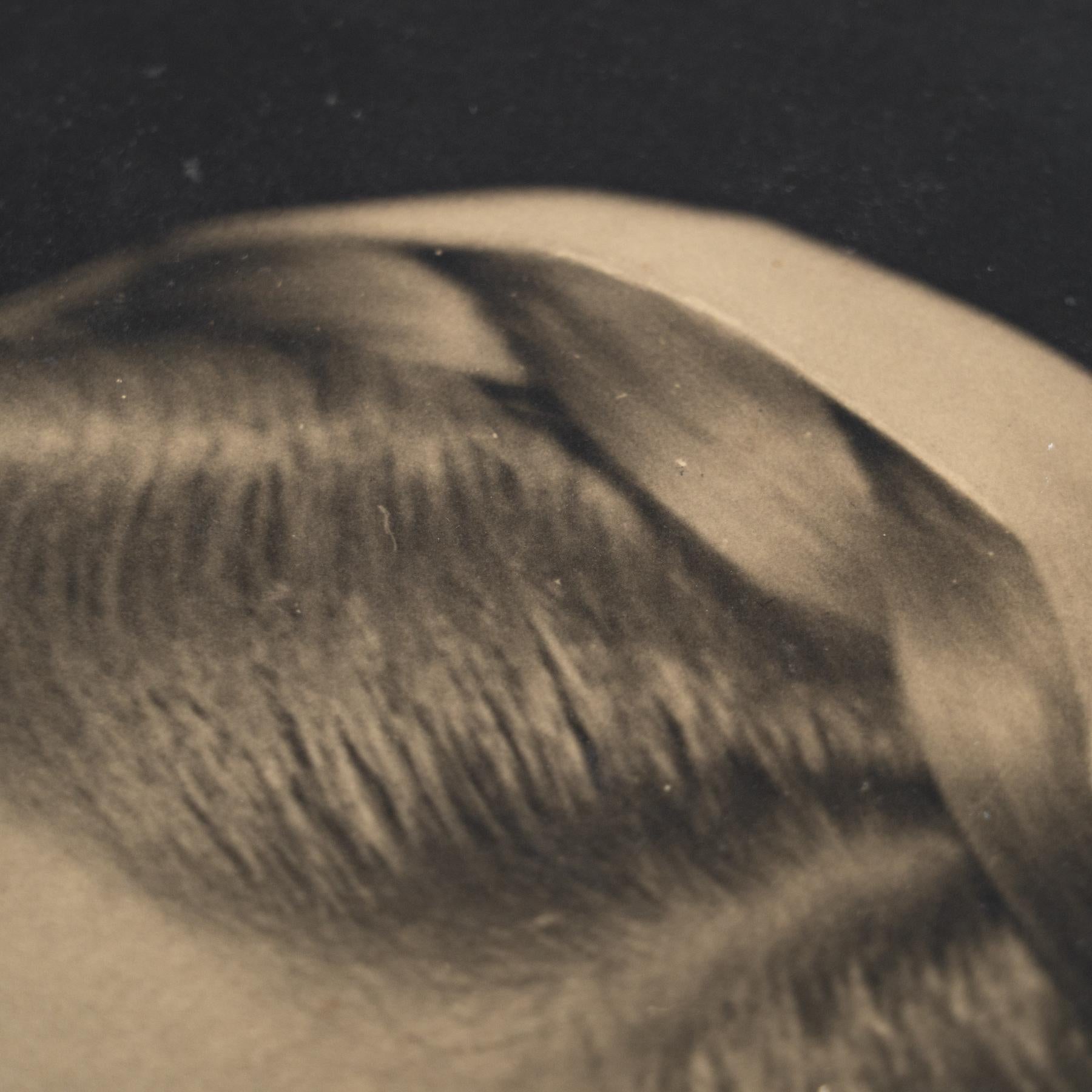 Madeleine Carroll dans le thriller 