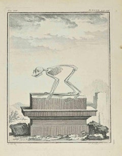 Le squelette - eau-forte de Madeline Rousselet - 1771