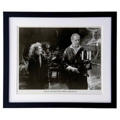 Madhouse (1974) Presse-Werbebild - gerahmt