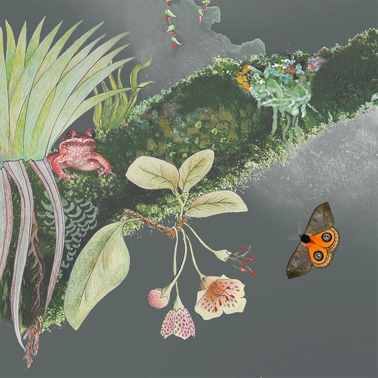 Anglais Madidi nuages de nuages dans un papier peint botanique tropical à taille moyenne de nuit en vente