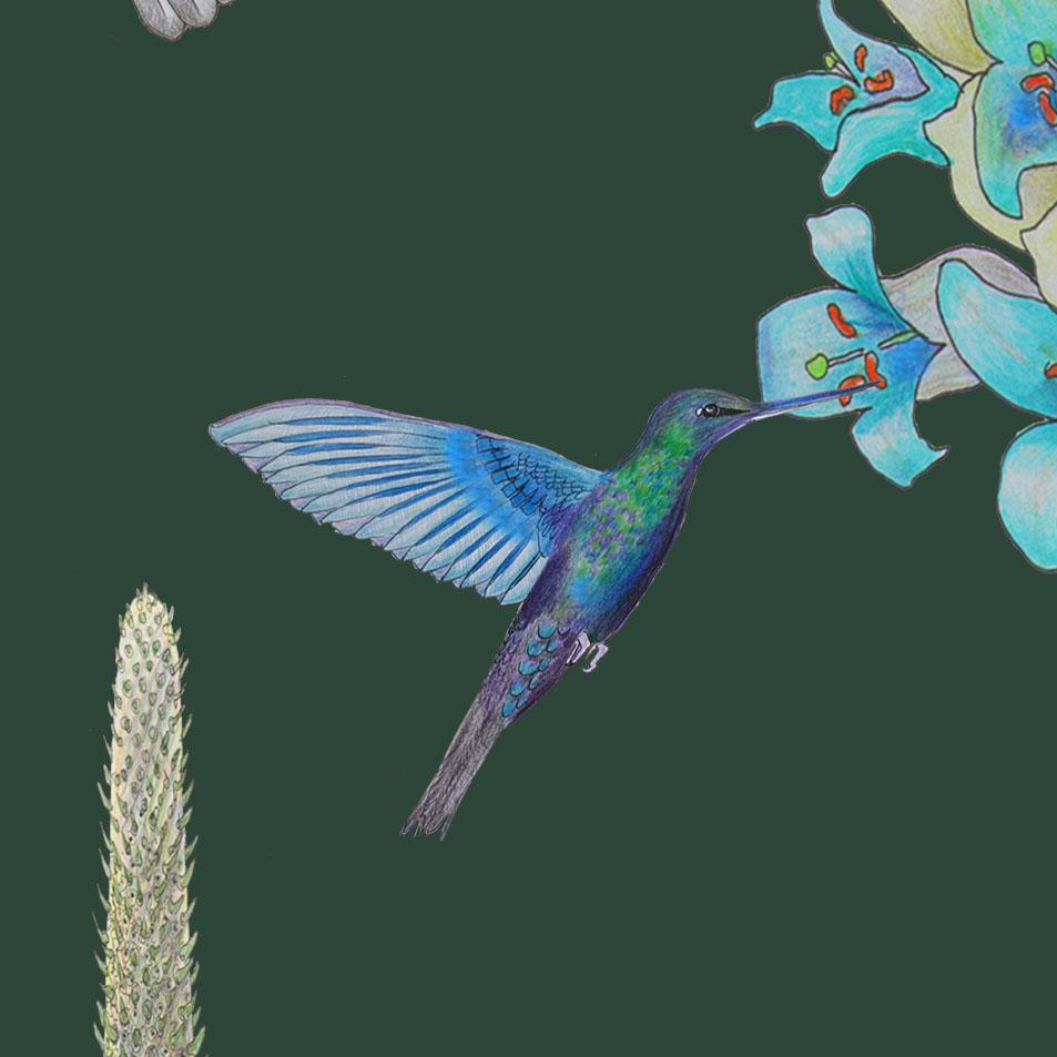 Madidi Hummingbirds in Forest Botanical Wallpaper In New Condition For Sale In Kent, GB