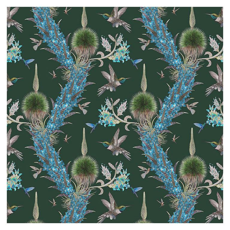 Madidi Hummingbirds in Forest Botanical - Papier peint