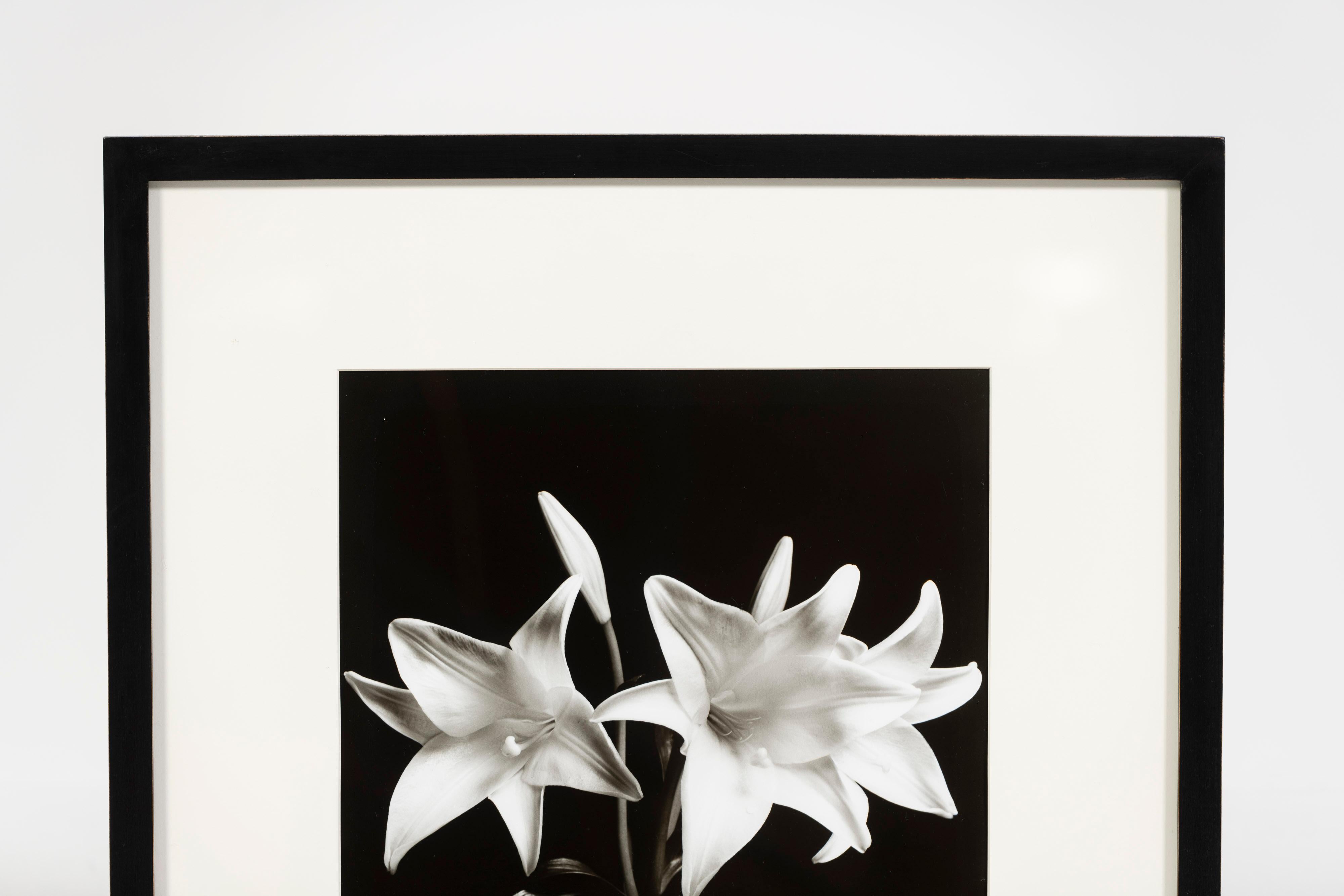 „Madonna Lilies“, Schwarz-Weiß-Foto, gerahmt, Greg Bruce, 1997, USA im Zustand „Gut“ im Angebot in San Francisco, CA