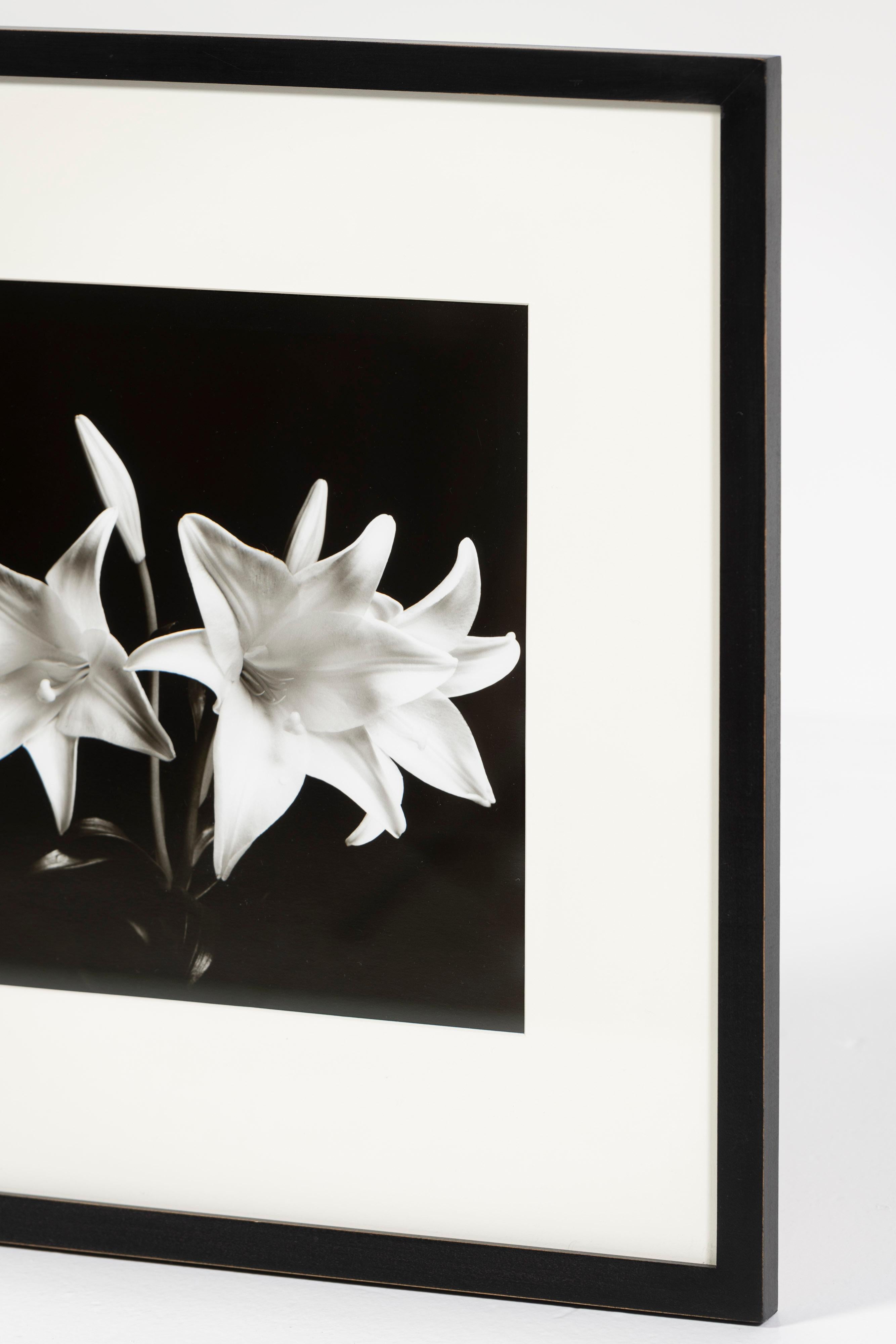 „Madonna Lilies“, Schwarz-Weiß-Foto, gerahmt, Greg Bruce, 1997, USA (Ende des 20. Jahrhunderts) im Angebot