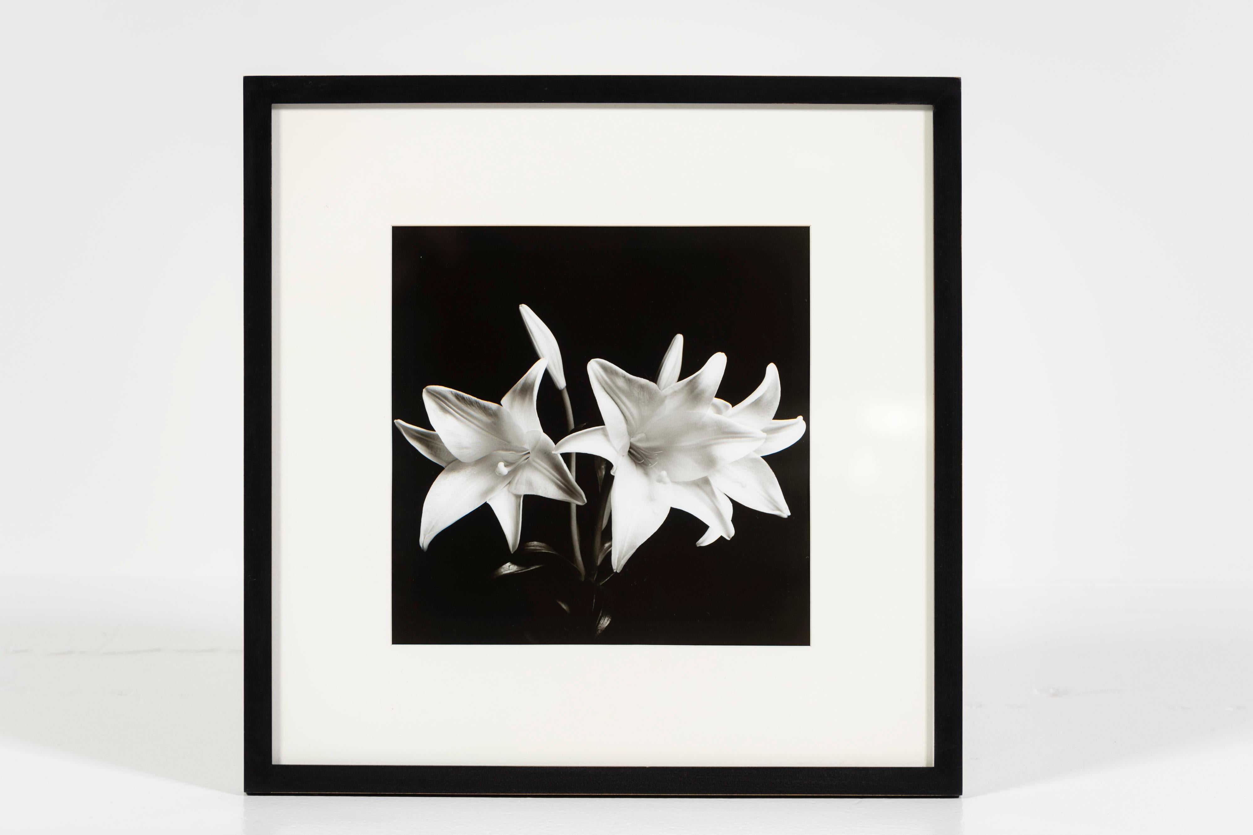 „Madonna Lilies“, Schwarz-Weiß-Foto, gerahmt, Greg Bruce, 1997, USA (Holz) im Angebot