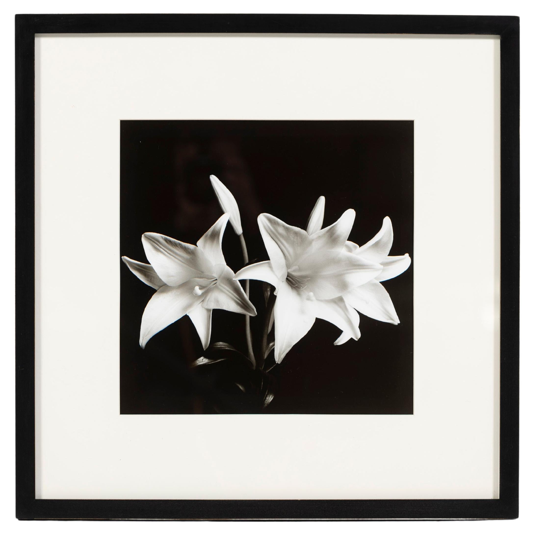 "Madonna Lilies", Black and White Photo, Framed, Greg Bruce, 1997, USA For Sale
