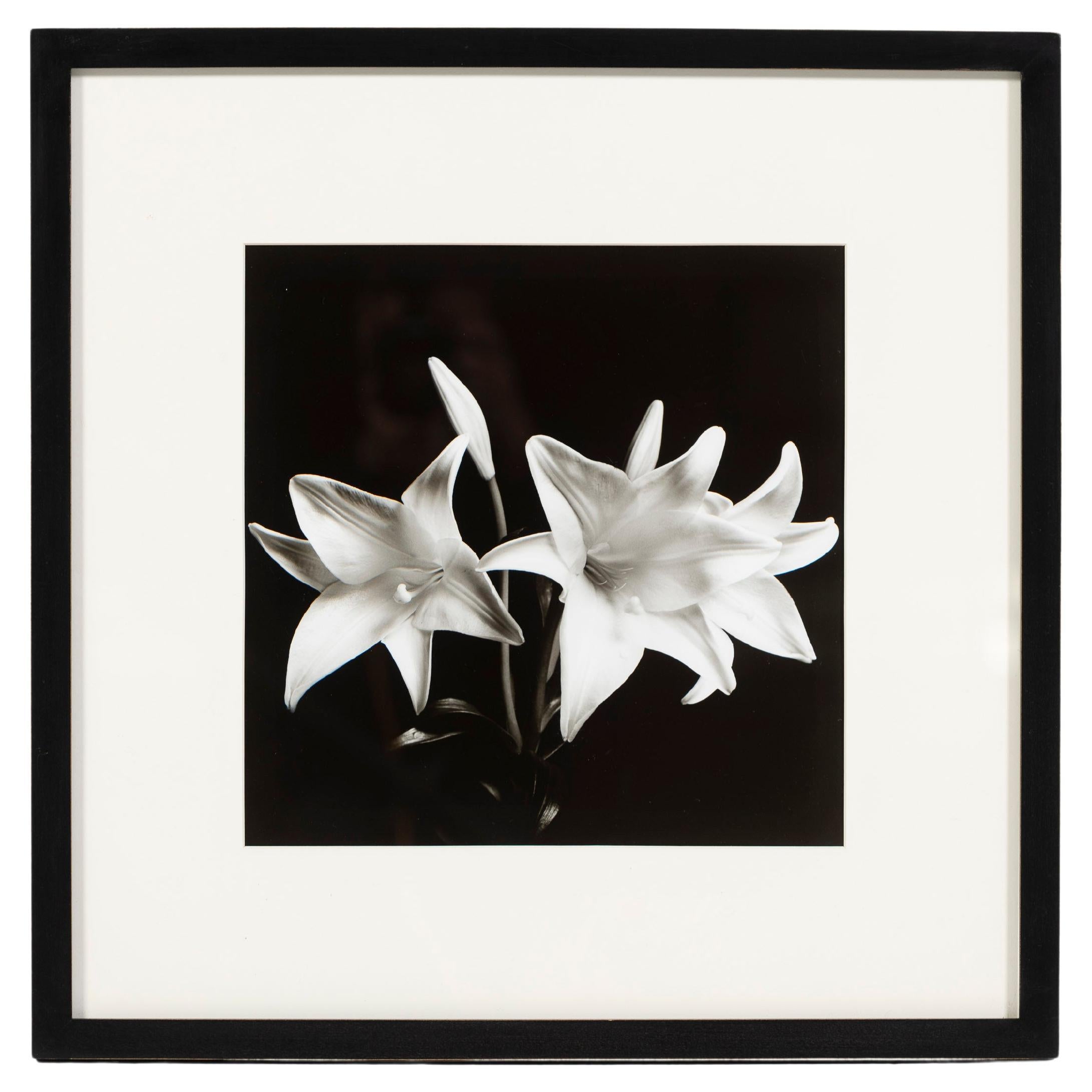 „Madonna Lilies“, Schwarz-Weiß-Foto, gerahmt, Greg Bruce, 1997, USA im Angebot