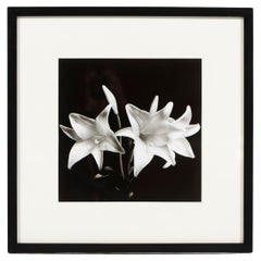 "Madonna Lilies", Black and White Photo, Framed, Greg Bruce, 1997, USA