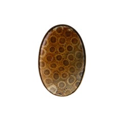 Madrepora Coral Bronze Ring