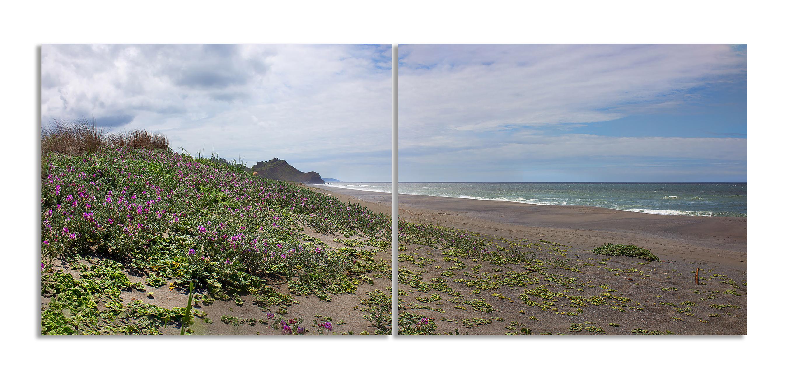 30x96 in. Oregon Coast Nature Landscape, unframed C Prints for 2 panels (paysage de la côte de l'Oregon, sans cadre). - Photograph de MAE Curates