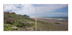 30x96 in. Oregon Coast Nature Landscape, unframed C Prints for 2 panels