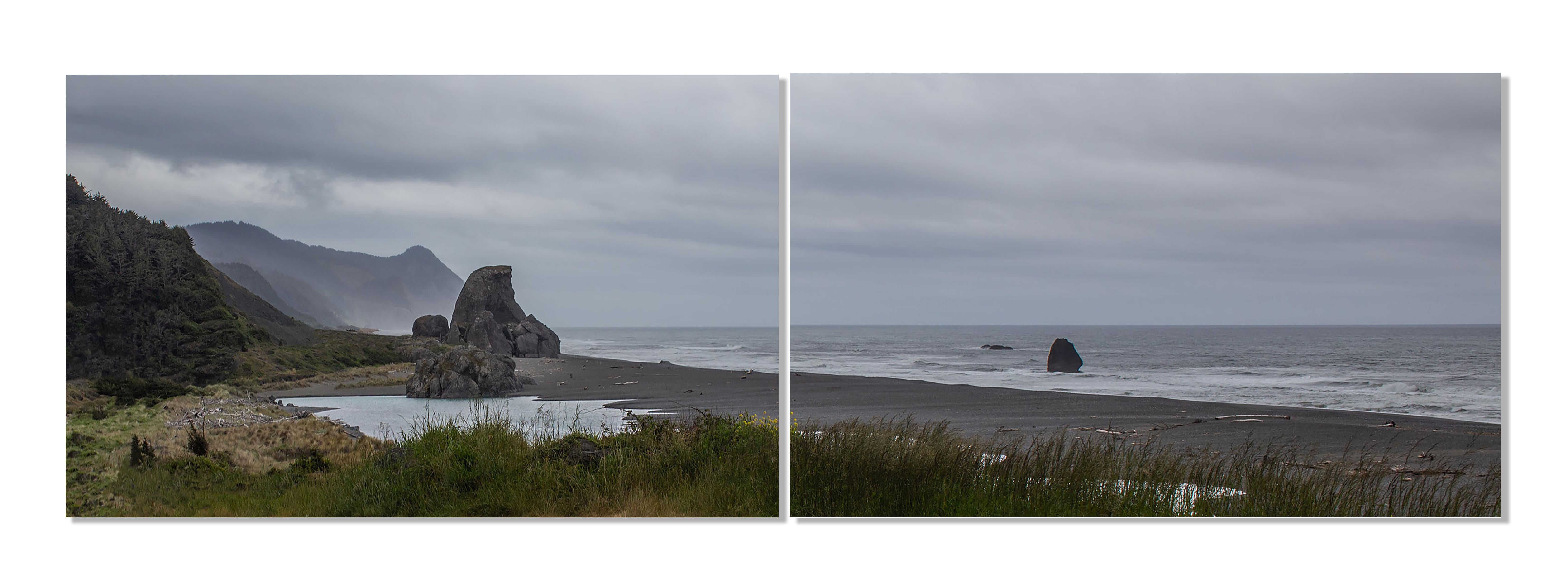 30x72 in. Oregon Flower Coast Nature, non encadré C Prints for 2 panels - Photograph de MAE Curates