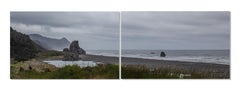 30x72 in. Oregón Flor Costa Naturaleza, sin enmarcar C Impresiones para 2 paneles