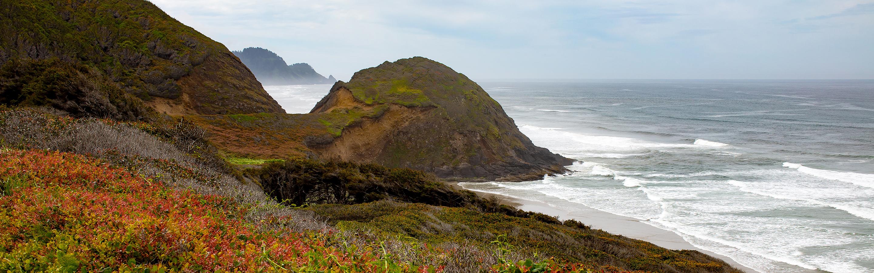 30x72 in. Oregon Flower Coast Nature, non encadré C Prints for 2 panels - Contemporain Photograph par MAE Curates