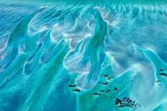 47.2x63in. Aerial Photography of Earth, Land, Sea - unframed
