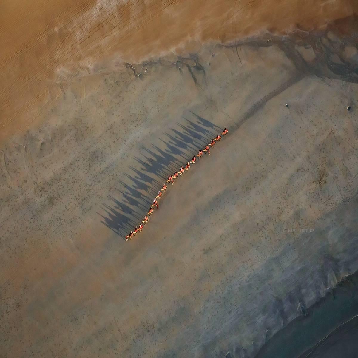 Photographie aérienne de la terre, de la terre et de la mer - Art abstrait de l'art de la terre F 011