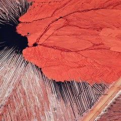 Luftfotografie von Erde, Land, Meer - BT 013