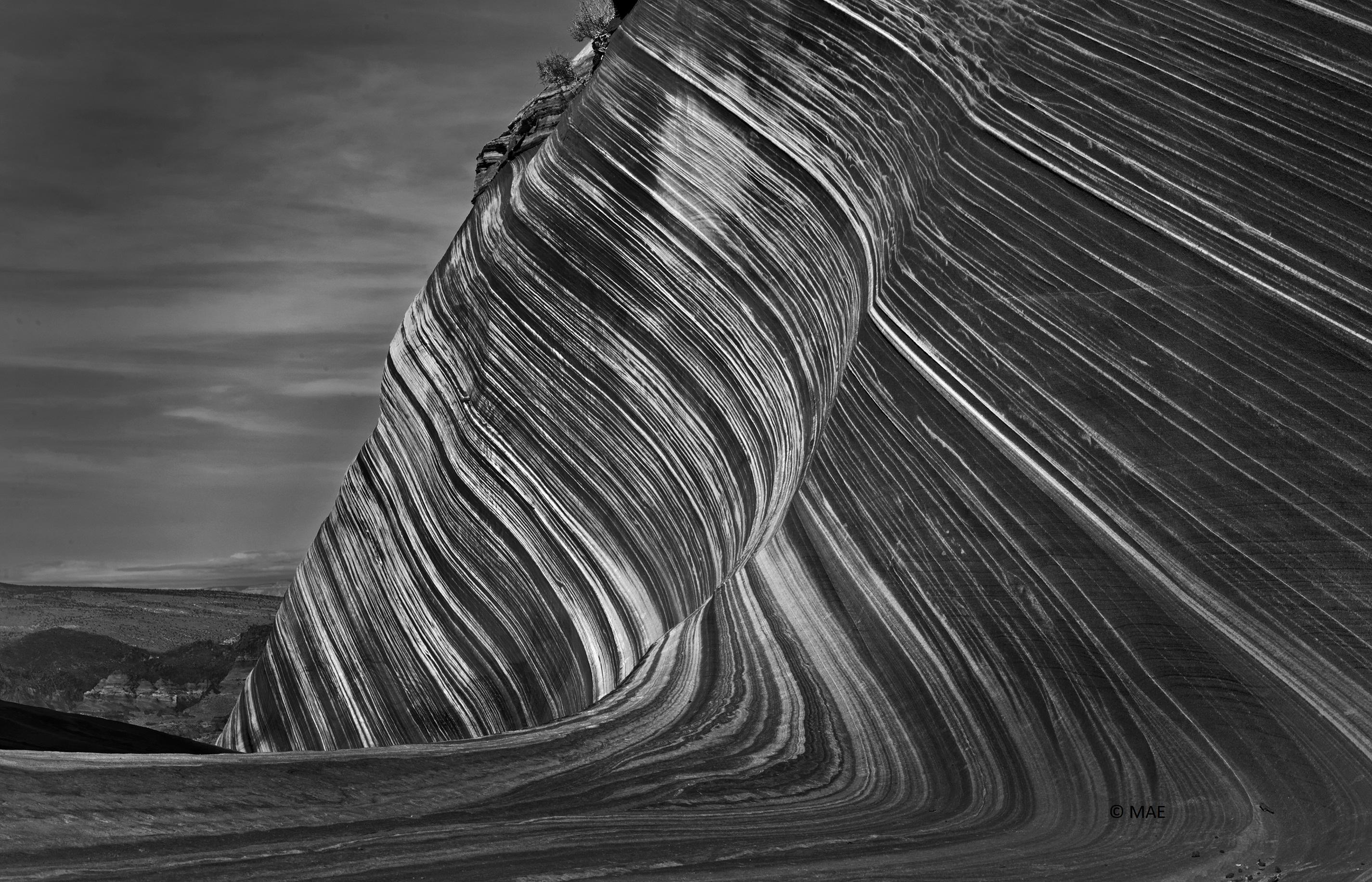 Fotografía en blanco y negro de la serie Paisajes americanos - 
