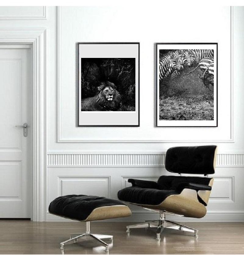 Löwe – Tier-Wildlife-Bilder (Schwarz), Black and White Photograph, von MAE Curates