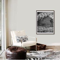 Zebras "Splash" - Animal wildlife pictures